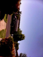parade outside my front door