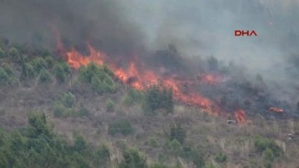 Antalya Tatil Merkezi Adrasan'da Orman Yangını -9