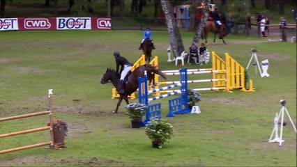 Championnat Pro 3 Royal Horse - Finale - Dimanche