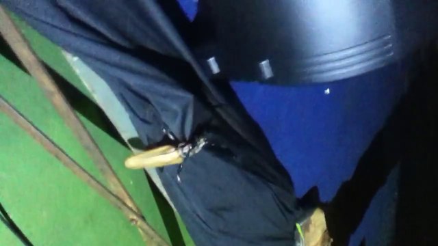 Un insecte géant vient terroriser des campeurs!