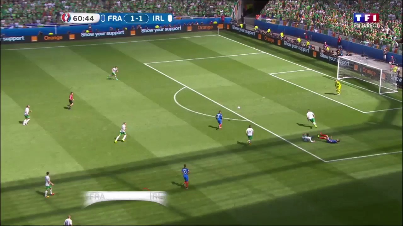 Bravo les Bleus !!!!! À Lyon ... la France gagne :-)