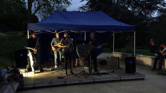 French Chelsea Cover Ces idées là /no woman no cry / so lonely