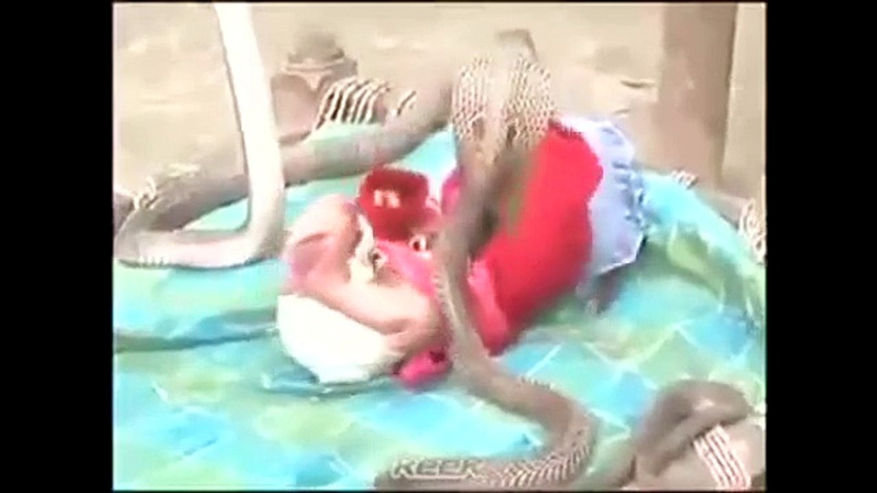 four Cobra snakes protecting a sleeping Baby