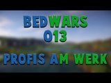 Let's Play Minecraft Bedwars #013 - Profis am Werk - [1080p] [GERMAN/DEUTSCH]
