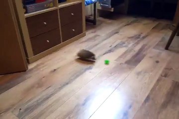 Радоваться малому - настоящее искусство!