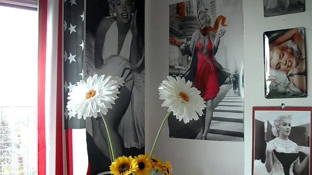 dorothée allo ! allo ! monsieur l ' ordinateur !! ..