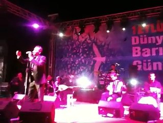 Yavzu Bingöl konseri gitme