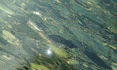 لدينا افخم أنواع الرخام رخام مصري