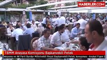 TBMM Anayasa Komisyonu Başkanvekili Petek