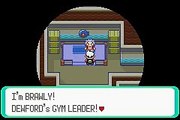 pokemon emerald gym 2