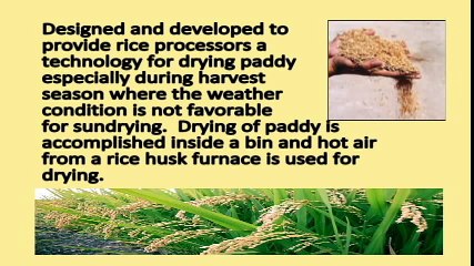 2011 Flat Bed Paddy dryer with Rice Husk Furnace 6-ton capacity (Ipa Stove)