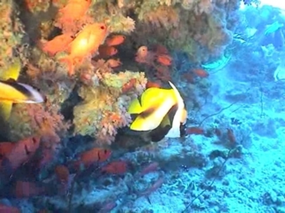 Denis au Maldive01