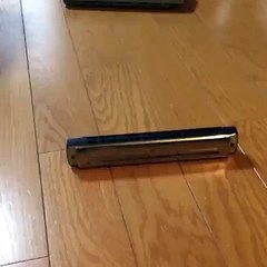 Funny vacuum cleaner vs harmonica vine
