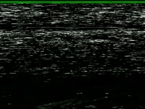 Clip Gogol 1Er -Travail Famille Patrie