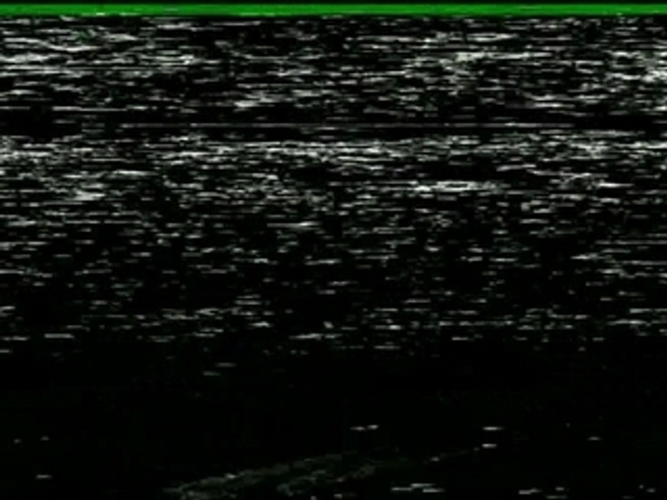 Clip Gogol 1Er -Travail Famille Patrie