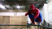 Superheroes Death Match Fight! Batman vs Spiderman. Superheroes Battles in Real Life