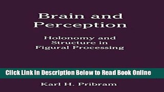 Download Brain and Perception: Holonomy and Structure in Figural Processing (Distinguished Lecture