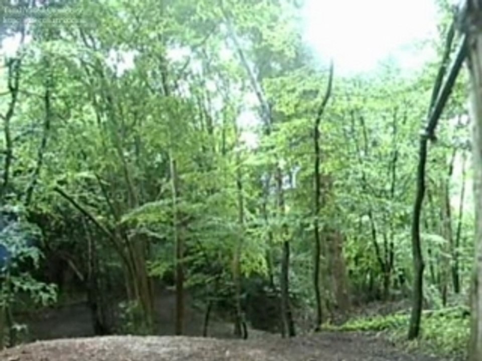 ENTRAINEMENT N°2 125 YZ 700 RAPTOR