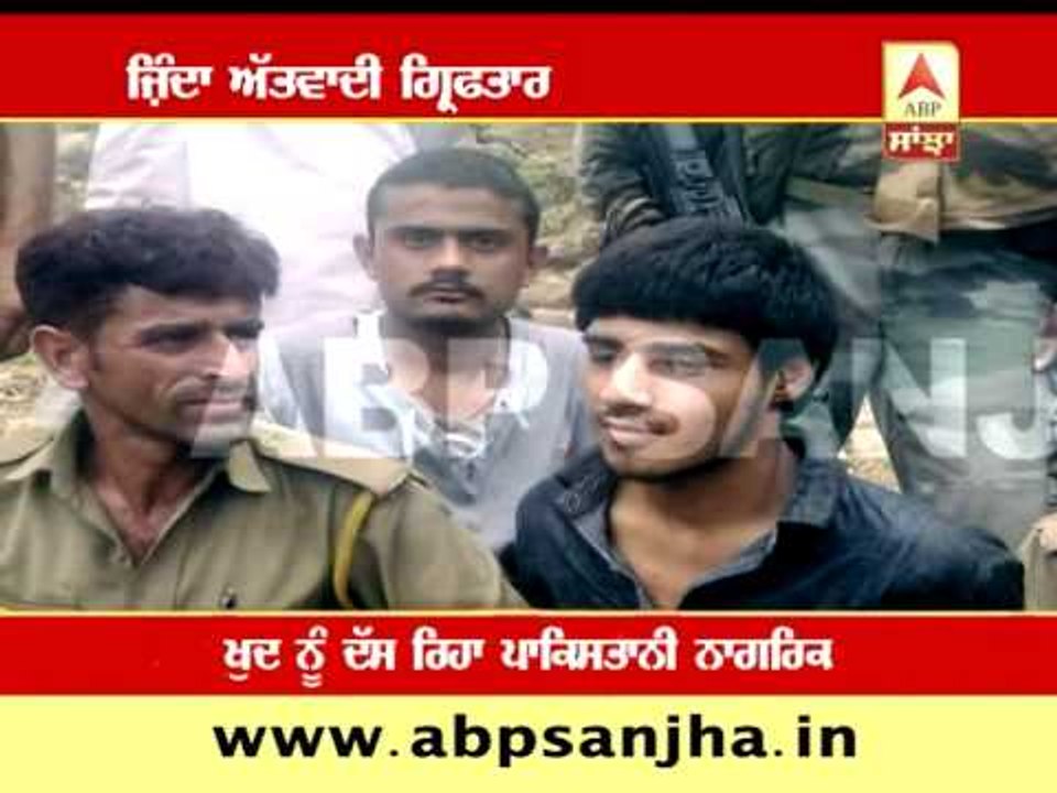 Terrorist arrested alive
