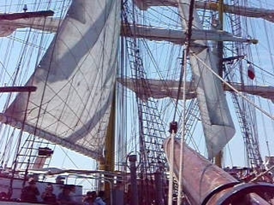P7130031