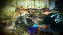 Little Cats Helping BIG Cats! #TreatTheirWildSide