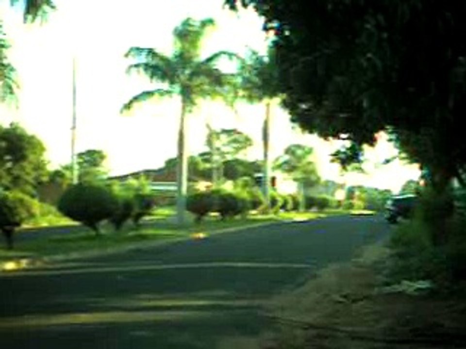 Cleyton ANDORINHA Rosana-SP 10