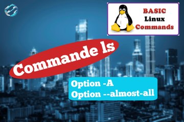 [Linux Commands N°2] Commande ls --A