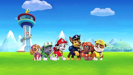 Paw Patrol Finger Family - Paw Patrol Cartoon Song & Nursery Rhymes