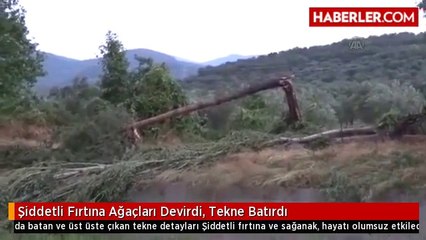 Şiddetli Fırtına Ağaçları Devirdi, Tekne Batırdı