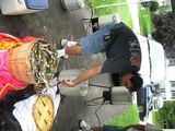 Maryland Crabs - Part 2