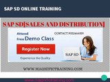 SAP SD ONLINE TRAINING IN USA|UK|AUSTRALIA