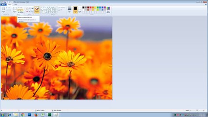 How to Resize Your Photo Without Software