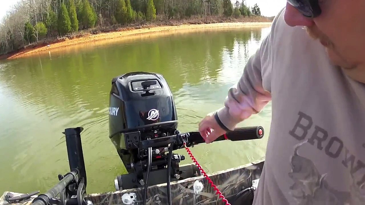 Mercury 25 hp 4 stroke EFI