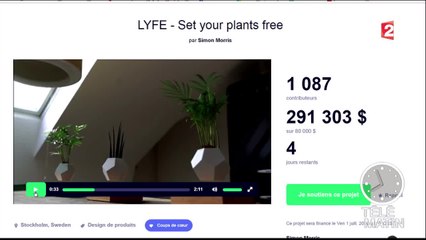 Des plantes qui flottent dans les airs grâce à la lévitation magnétique ! - 20160627