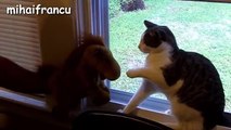 Best Of Funny Scared Cats Compilation  2016 cat very funny and cool fun