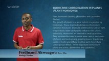 WizitUp eLearning: Biology-Endocrine Coordination in Plants-Plant Hormones (025/25)