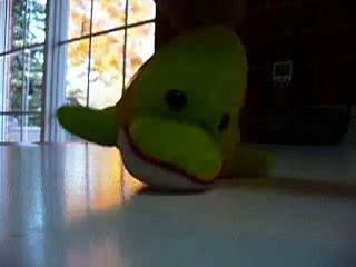 1. Fubu fish - gets eaten