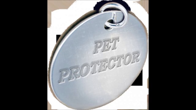 Pet Protector - (954) 354-3125