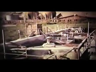 Jezero Palic - Sanacija  Jezera 70-tih godina - dokumentarni film