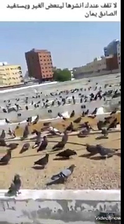 بر الوالدين