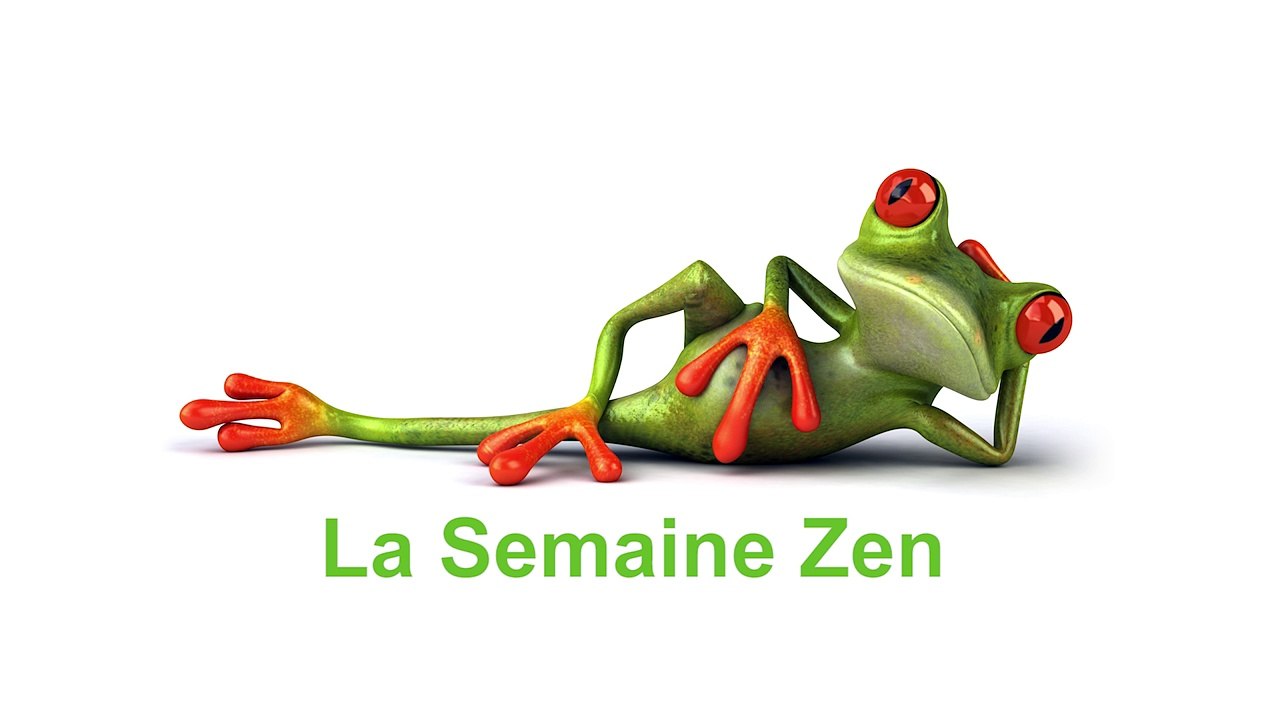 Semaine ZEN Laurence Thievin