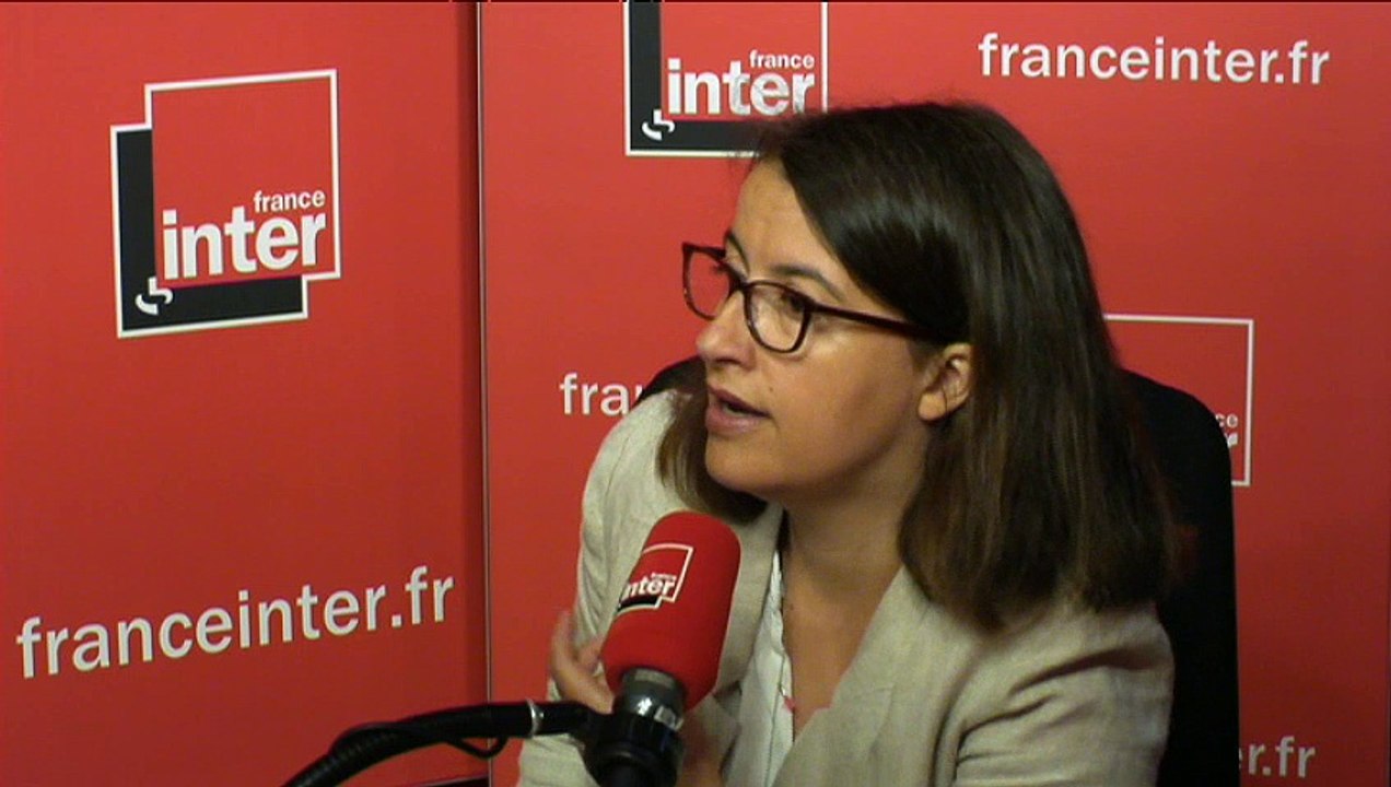 NDDL, référendum, Brexit : Cécile Duflot répond à Patrick Cohen