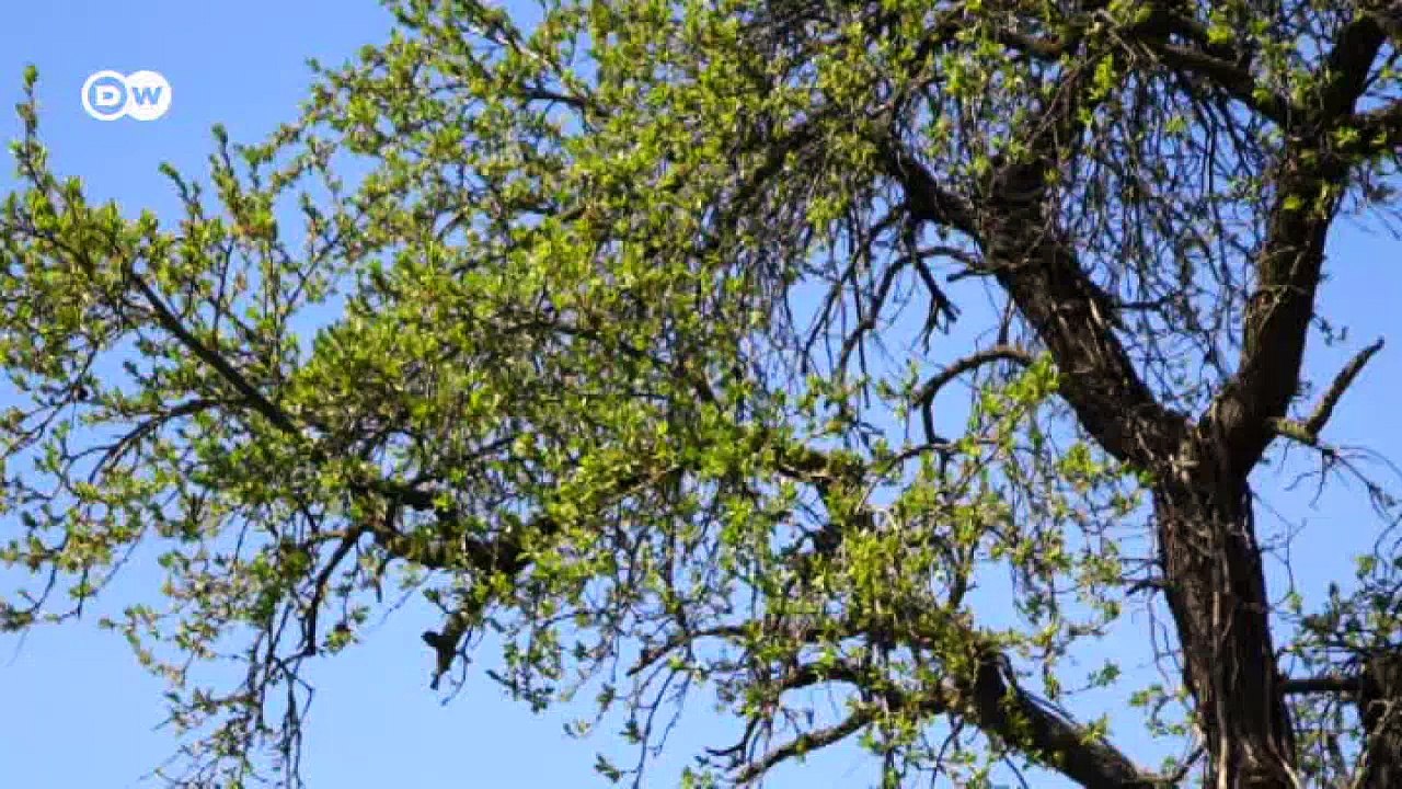 Beton liefert solarstrom | projekt zukunft