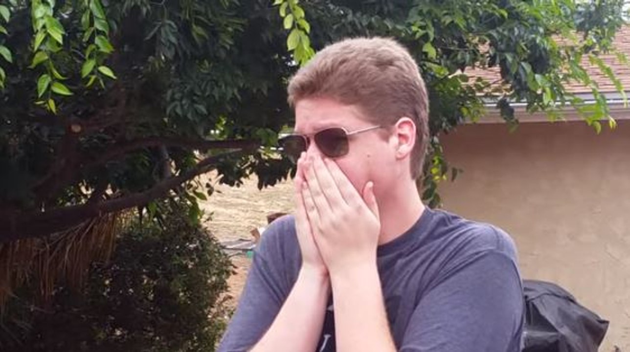 Daltoniens, ils voient les couleurs pour la première fois !