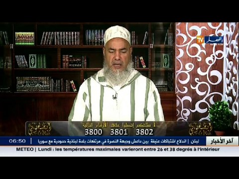 انصحوني / تريد اجراء عملية جراحية للقطة حتي لا تلد ... شاهد كيف رد عليها شمس الدين !!