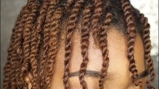 Natural Hair| Mini Twist Hair Tutorial