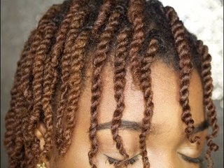 Natural Hair| Mini Twist Hair Tutorial