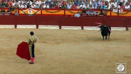 Resumen de la Feria de les Fogueres de Sant Juan