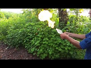 Samsung Galaxy S5 - Slow Mo video at 120fps