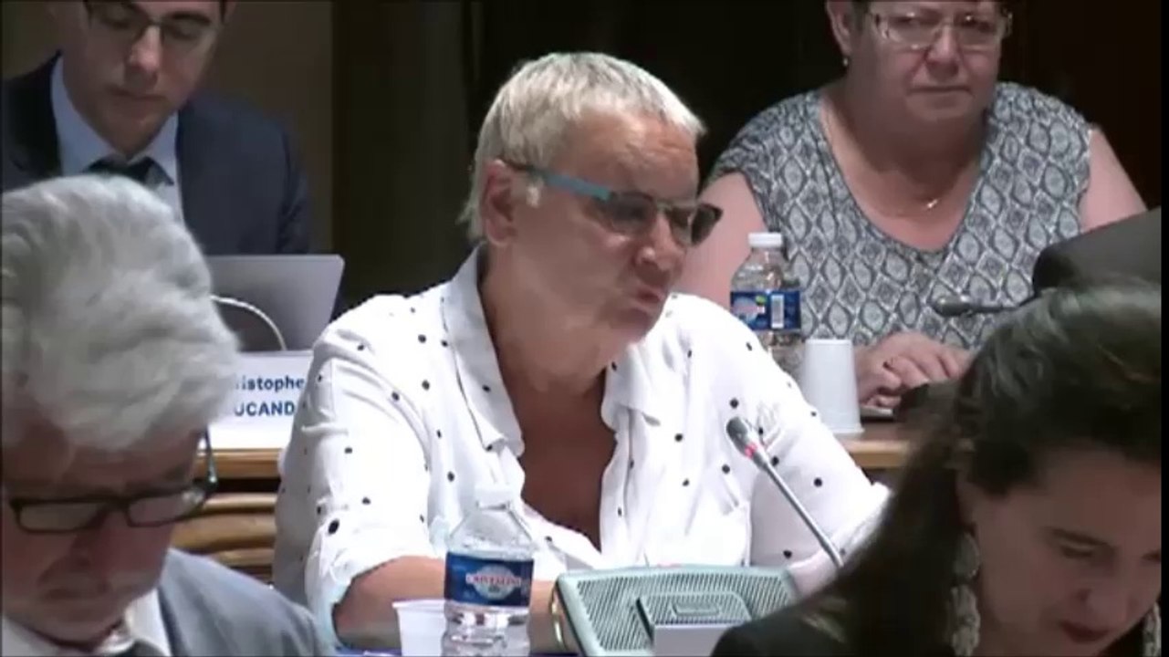 Colette POPARD. Discussion générale. Session du 27 juin 2016
